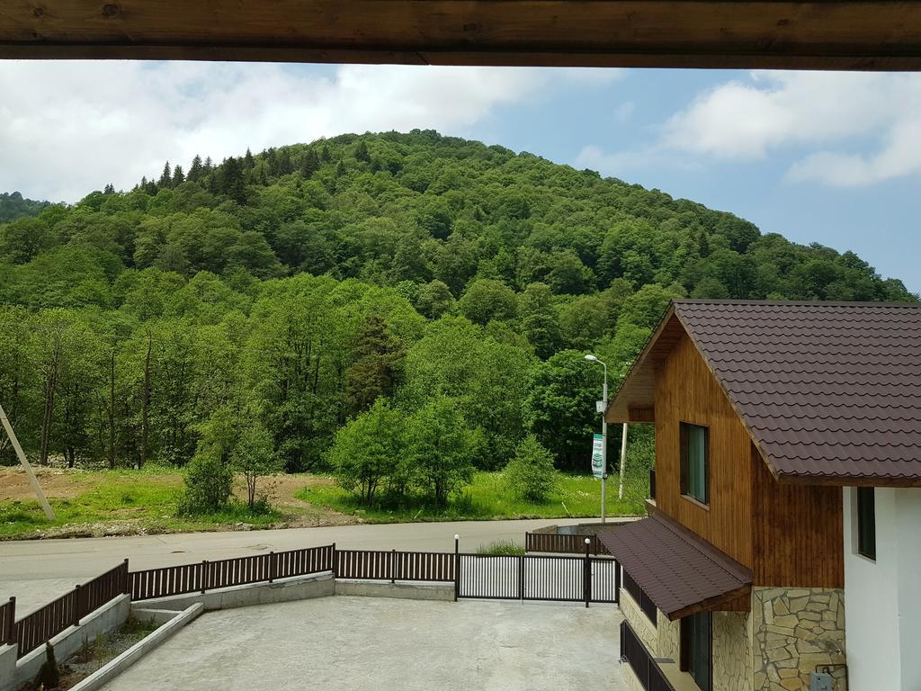 Villa Crystal Town House Bakuriani Esterno foto