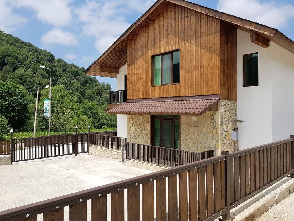 Villa Crystal Town House Bakuriani Esterno foto